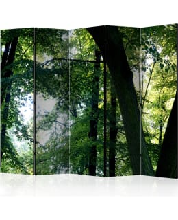 ARTGEIST A1-PARAVENTTC0242 5-OS SERMI Main Image