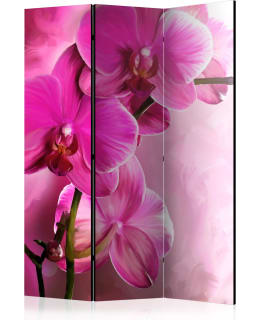 ARTGEIST A1-PARAVENTTC0247 3-OS SERMI Main Image