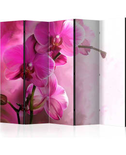 ARTGEIST A1-PARAVENTTC0248 5-OS SERMI Main Image