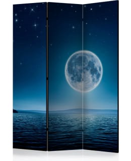 ARTGEIST A1-PARAVENTTC0427 3-OS SERMI Main Image