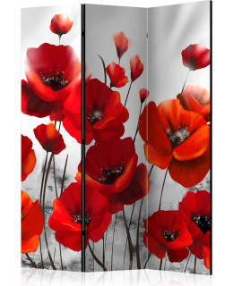 ARTGEIST A1-PARAVENTTC0535 3-OS SERMI Main Image