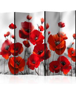 ARTGEIST A1-PARAVENTTC0536 5-OS SERMI Main Image