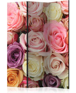 ARTGEIST A1-PARAVENTTC0553 3-OS SERMI Main Image