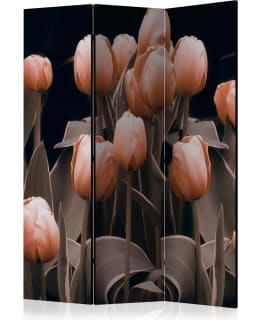 ARTGEIST A1-PARAVENTTC0557 3-OS SERMI Main Image