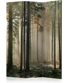 ARTGEIST A1-PARAVENTTC0591 3-OS SERMI Main Image