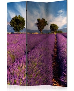 ARTGEIST A1-PARAVENTTC0597 3-OS SERMI Main Image