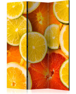 ARTGEIST A1-PARAVENTTC0664 3-OS SERMI Main Image