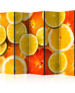 ARTGEIST A1-PARAVENTTC0665 5-OS SERMI Main Image