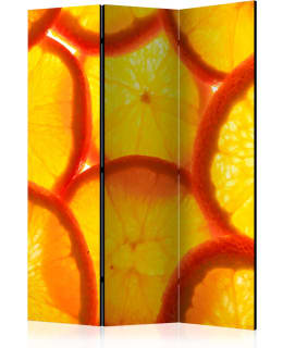 ARTGEIST A1-PARAVENTTC0670 3-OS SERMI Main Image