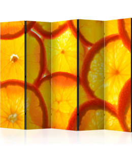 ARTGEIST A1-PARAVENTTC0671 5-OS SERMI Main Image