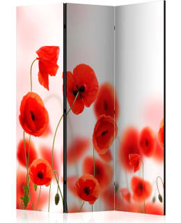 ARTGEIST A1-PARAVENTTC0704 3-OS SERMI Main Image