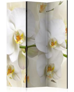 ARTGEIST A1-PARAVENTTC0716 3-OS SERMI Main Image