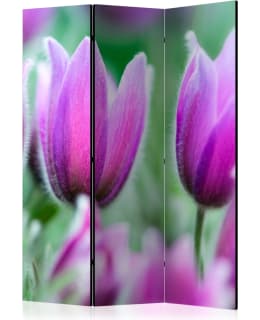 ARTGEIST A1-PARAVENTTC0718 3-OS SERMI Main Image