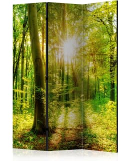 ARTGEIST A1-PARAVENTTC0720 3-OS SERMI Main Image