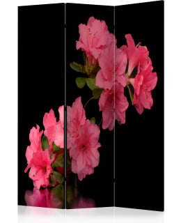 ARTGEIST A1-PARAVENTTC0730 3-OS SERMI Main Image