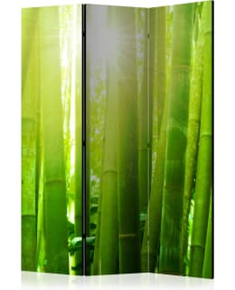 ARTGEIST A1-PARAVENTTC0746 3-OS SERMI Main Image