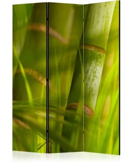 ARTGEIST A1-PARAVENTTC0756 3-OS SERMI Main Image