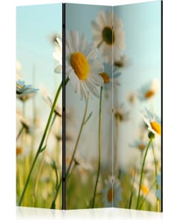 ARTGEIST A1-PARAVENTTC0764 3-OS SERMI Main Image