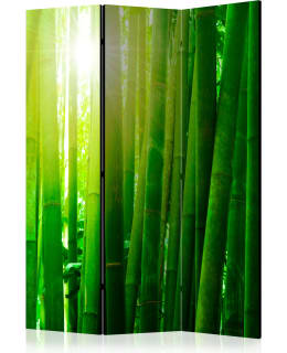 ARTGEIST A1-PARAVENTTC0794 3-OS SERMI Main Image