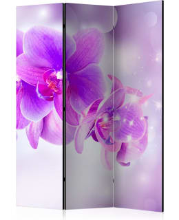 ARTGEIST A1-PARAVENTTC0844 3-OS SERMI Main Image