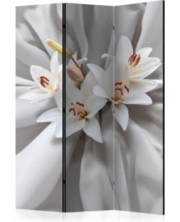 ARTGEIST A1-PARAVENTTC0846 3-OS SERMI Main Image