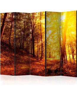 ARTGEIST A1-PARAVENTTC0857 5-OS SERMI Main Image