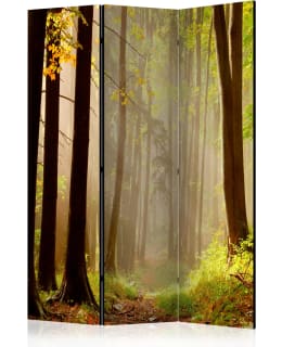 ARTGEIST A1-PARAVENTTC0866 3-OS SERMI Main Image