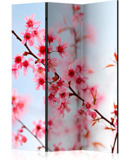 ARTGEIST A1-PARAVENTTC0878 3-OS SERMI Main Image