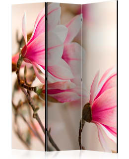 ARTGEIST A1-PARAVENTTC0886 3-OS SERMI Main Image