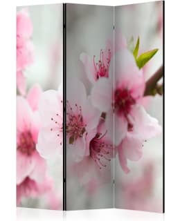 ARTGEIST A1-PARAVENTTC0888 3-OS SERMI Main Image