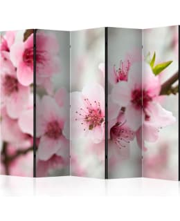 ARTGEIST A1-PARAVENTTC0889 5-OS SERMI Main Image