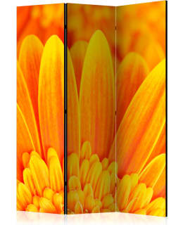 ARTGEIST A1-PARAVENTTC0890 3-OS SERMI Main Image