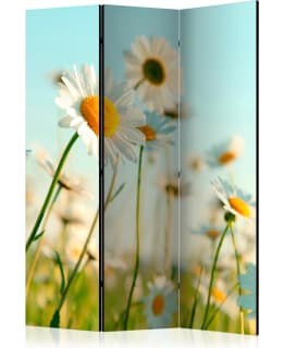 ARTGEIST A1-PARAVENTTC0892 3-OS SERMI Main Image