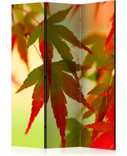 ARTGEIST A1-PARAVENTTC0900 3-OS SERMI Main Image