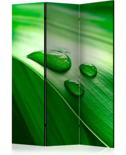 ARTGEIST A1-PARAVENTTC0928 3-OS SERMI Main Image