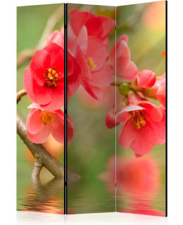 ARTGEIST A1-PARAVENTTC0986 3-OS SERMI Main Image