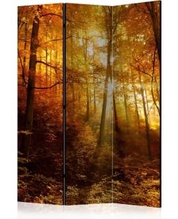 ARTGEIST A1-PARAVENTTC1062 3-OS SERMI Main Image