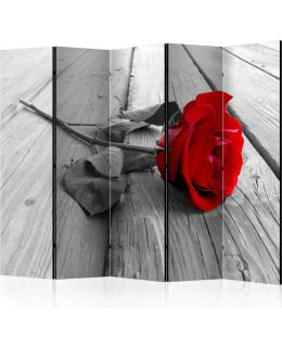 ARTGEIST A1-PARAVENTTC1713 5-OS SERMI Main Image