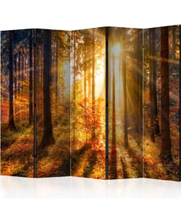 ARTGEIST A1-PARAVENTTC1740 5-OS SERMI Main Image