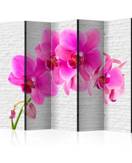 ARTGEIST A1-PARAVENTTC1832 5-OS SERMI Main Image