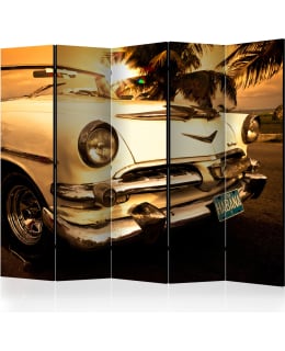 ARTGEIST A1-PARAVENTTC1855 5-OS SERMI Main Image