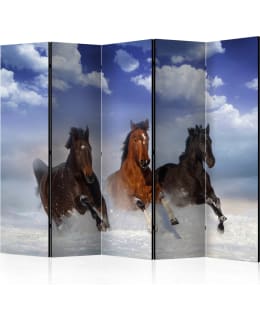 ARTGEIST A1-PARAVENTTC1901 5-OS SERMI Main Image