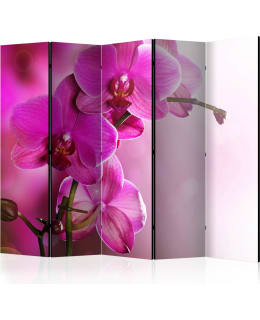 ARTGEIST A1-PARAVENTTC2014 5-OS SERMI Main Image