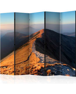 ARTGEIST A1-PARAVENTTC2031 5-OS SERMI Main Image