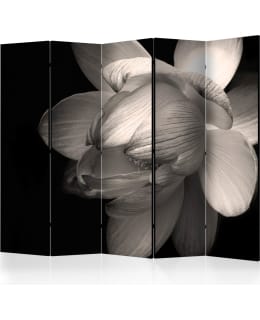 ARTGEIST A1-PARAVENTTC2055 5-OS SERMI Main Image