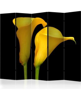 ARTGEIST A1-PARAVENTTC2074 5-OS SERMI Main Image