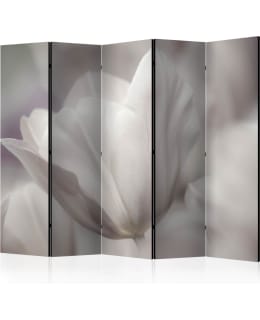 ARTGEIST A1-PARAVENTTC2075 5-OS SERMI Main Image