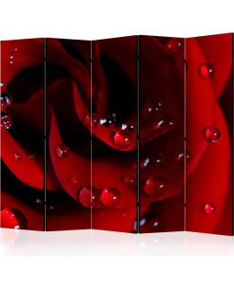 ARTGEIST A1-PARAVENTTC2078 5-OS SERMI Main Image