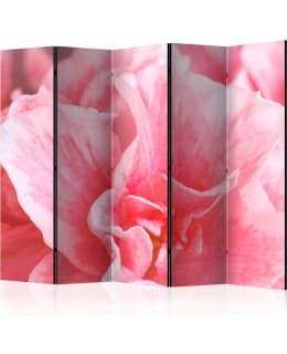 ARTGEIST A1-PARAVENTTC2080 5-OS SERMI Main Image