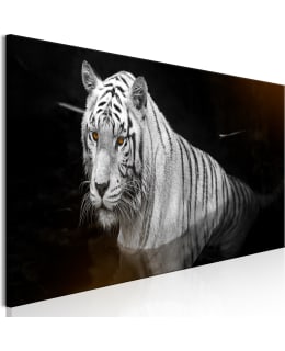 ARTGEIST A1-N8994-DKXL TAULU Main Image